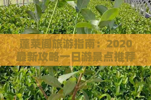 蓬莱阁旅游指南：2020最新攻略一日游景点推荐