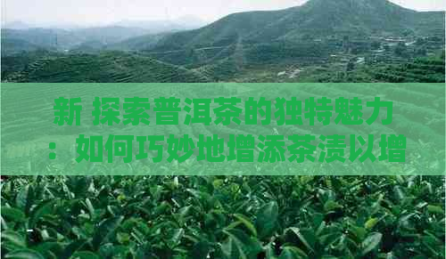 新 探索普洱茶的独特魅力：如何巧妙地增添茶渍以增强口感体验