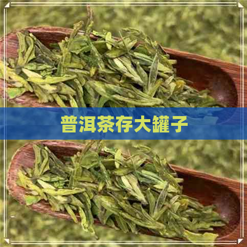 普洱茶存大罐子