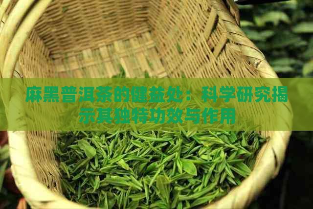 麻黑普洱茶的健益处：科学研究揭示其独特功效与作用