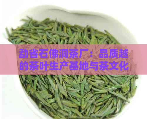 勐省石佛洞茶厂：品质越的茶叶生产基地与茶文化体验中心