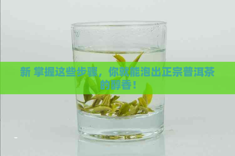 新 掌握这些步骤，你就能泡出正宗普洱茶的醇香！