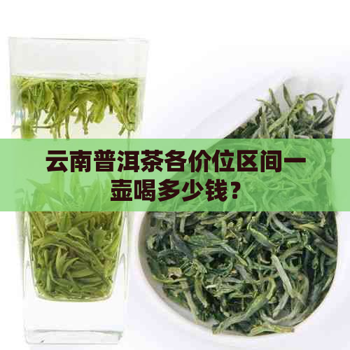 云南普洱茶各价位区间一壶喝多少钱？