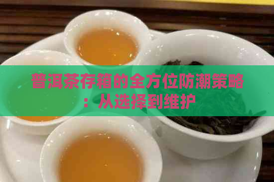 普洱茶存箱的全方位防潮策略：从选择到维护