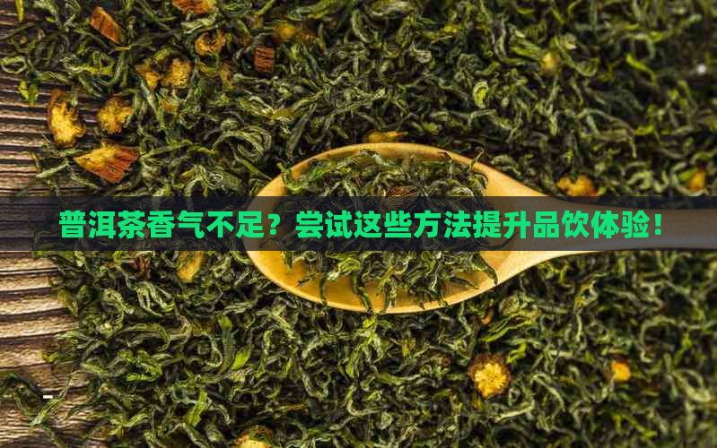 普洱茶香气不足？尝试这些方法提升品饮体验！