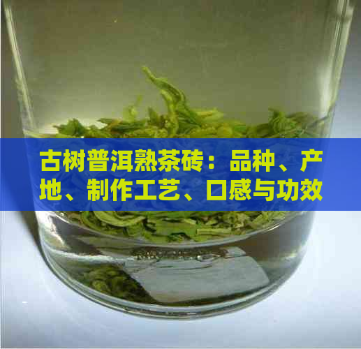 古树普洱熟茶砖：品种、产地、制作工艺、口感与功效详解