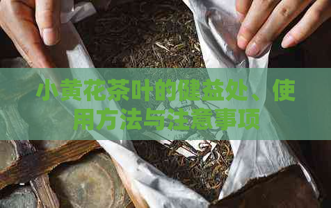 小黄花茶叶的健益处、使用方法与注意事项