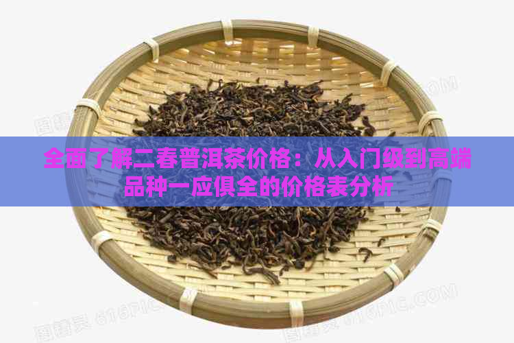 全面了解二春普洱茶价格：从入门级到高端品种一应俱全的价格表分析