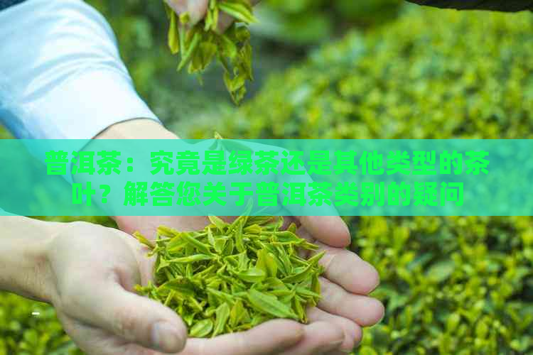 普洱茶：究竟是绿茶还是其他类型的茶叶？解答您关于普洱茶类别的疑问