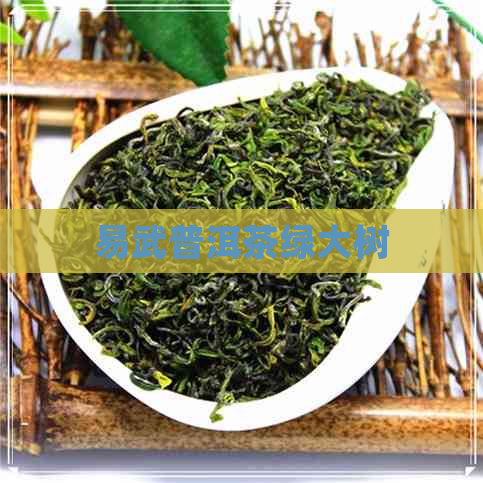 易武普洱茶绿大树