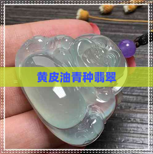 黄皮油青种翡翠