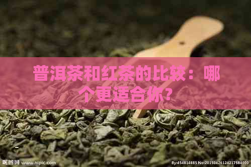 普洱茶和红茶的比较：哪个更适合你？