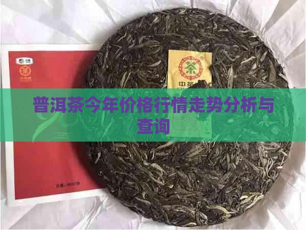 普洱茶今年价格行情走势分析与查询