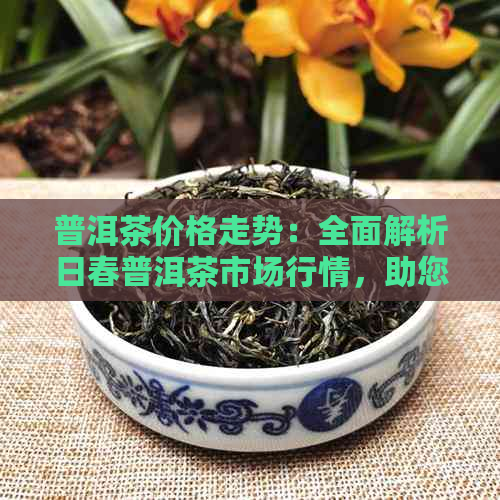 普洱茶价格走势：全面解析日春普洱茶市场行情，助您轻松选购优质茶叶