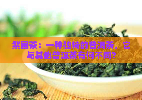 紫圃茶：一种独特的普洱茶，它与其他普洱茶有何不同？