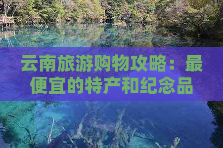 云南旅游购物攻略：更便宜的特产和纪念品推荐