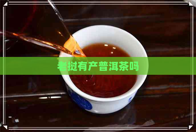 老挝有产普洱茶吗