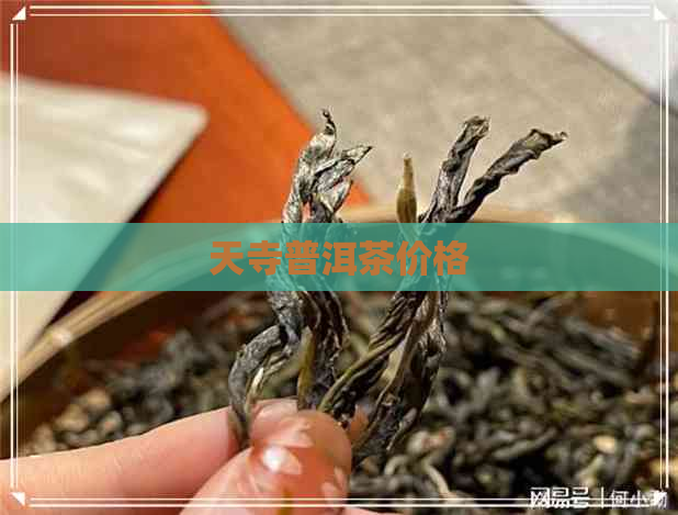 天寺普洱茶价格