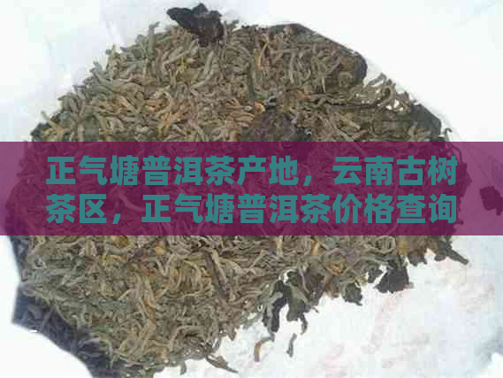 正气塘普洱茶产地，云南古树茶区，正气塘普洱茶价格查询。