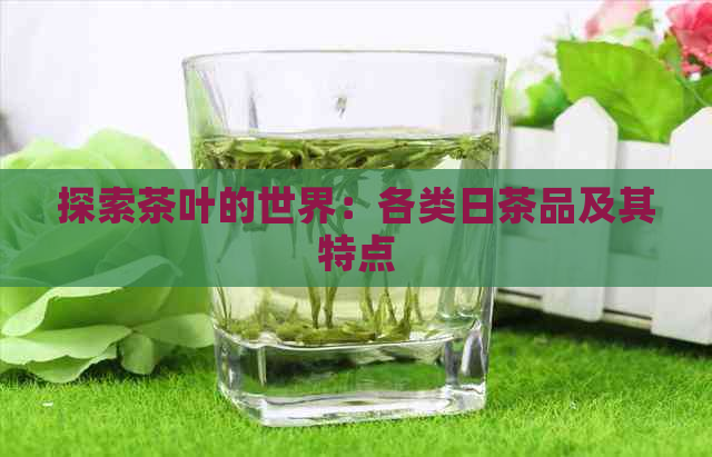 探索茶叶的世界：各类日茶品及其特点