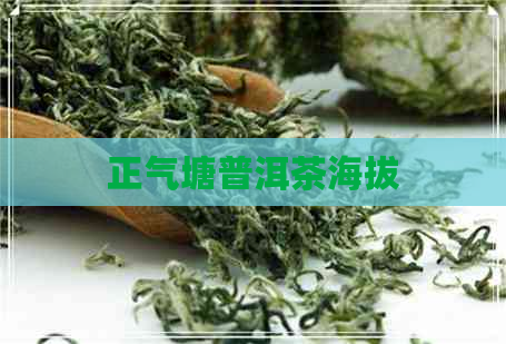 正气塘普洱茶海拔