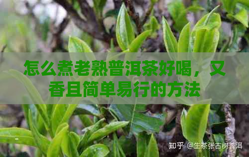 怎么煮老熟普洱茶好喝，又香且简单易行的方法