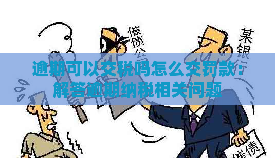 逾期可以交税吗怎么交罚款：解答逾期纳税相关问题