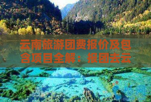 云南旅游团费报价及包含项目全解：报团去云南旅游的完整费用及服务内容