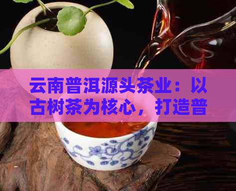 云南普洱源头茶业：以古树茶为核心，打造普洱茶产业领军企业