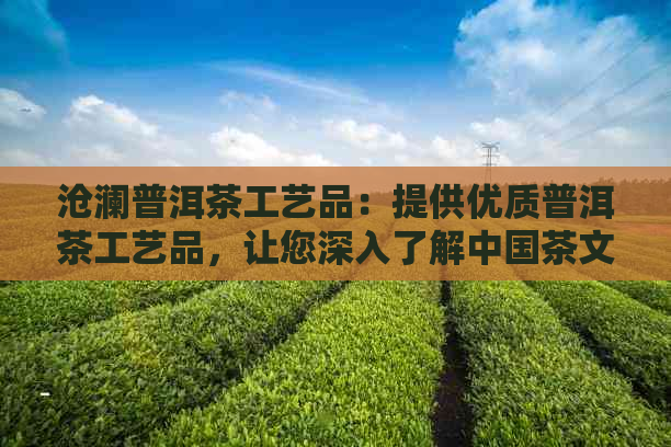 沧澜普洱茶工艺品：提供优质普洱茶工艺品，让您深入了解中国茶文化