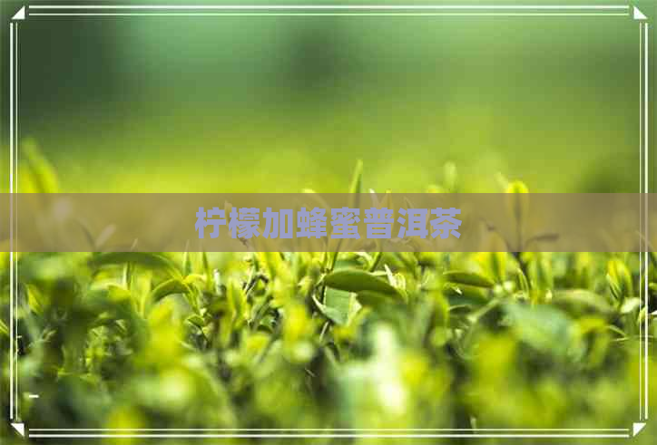 柠檬加蜂蜜普洱茶