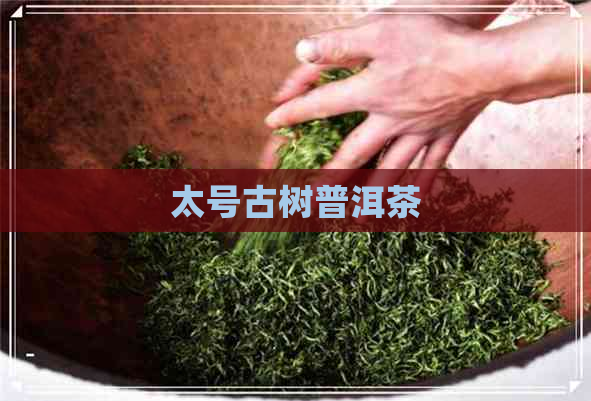 太号古树普洱茶