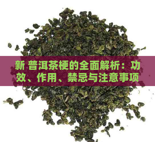 新 普洱茶梗的全面解析：功效、作用、禁忌与注意事项