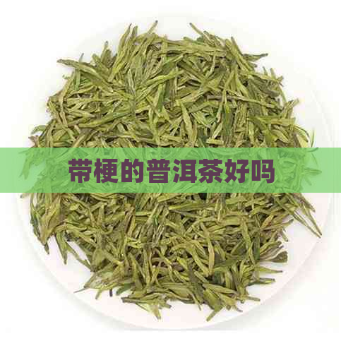 带梗的普洱茶好吗