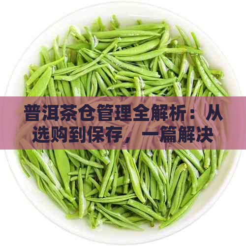 普洱茶仓管理全解析：从选购到保存，一篇解决您的所有疑问