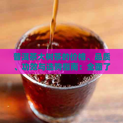 普洱茶大树茶的价格、品质、功效与选购指南：全面了解与比较