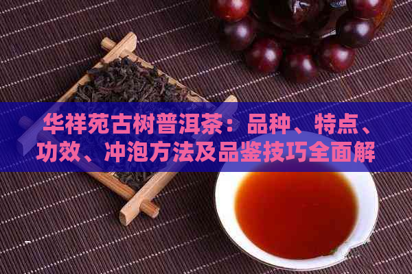 华祥苑古树普洱茶：品种、特点、功效、冲泡方法及品鉴技巧全面解析