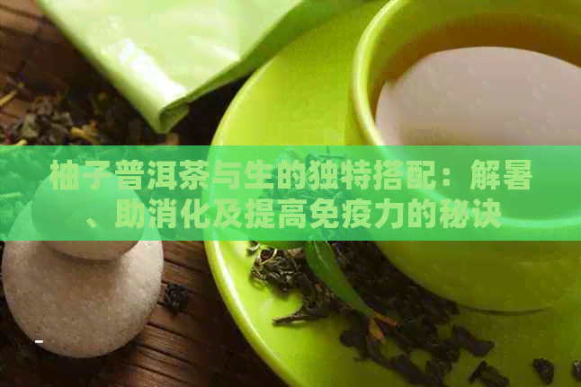 柚子普洱茶与生的独特搭配：解暑、助消化及提高免疫力的秘诀