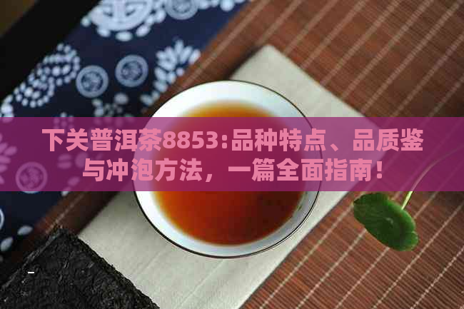 下关普洱茶8853:品种特点、品质鉴与冲泡方法，一篇全面指南！