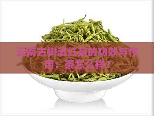 云南古树滇红茶的功效与作用：茶怎么样？