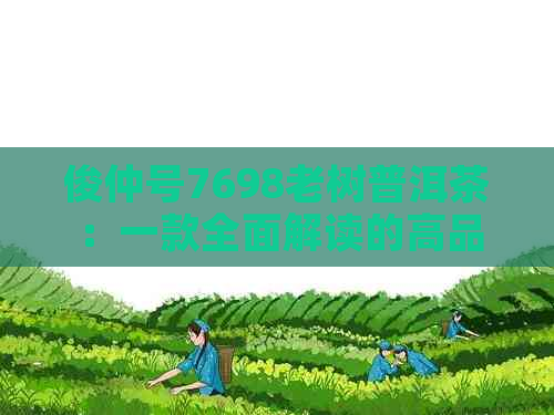 俊仲号7698老树普洱茶：一款全面解读的高品质茶叶详解，品鉴与购买攻略