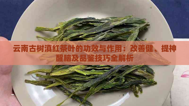 云南古树滇红茶叶的功效与作用：改善健、提神醒脑及品鉴技巧全解析