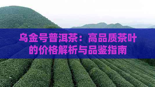 乌金号普洱茶：高品质茶叶的价格解析与品鉴指南