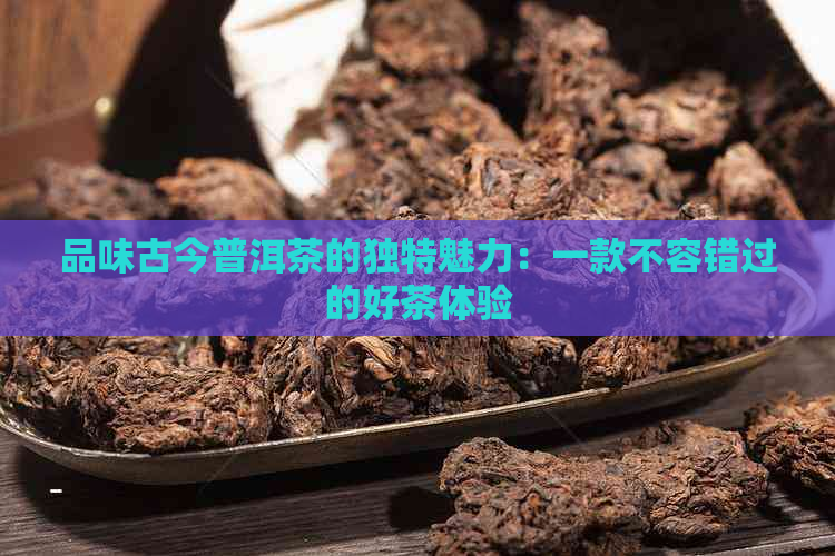 品味古今普洱茶的独特魅力：一款不容错过的好茶体验