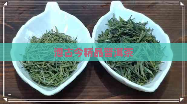 泡古今精品普洱茶