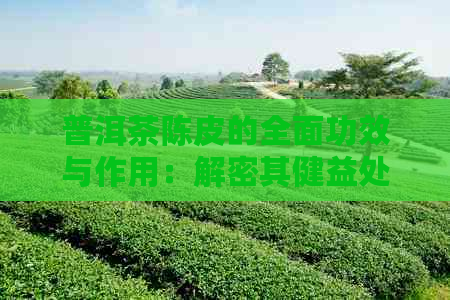 普洱茶陈皮的全面功效与作用：解密其健益处、药用价值及泡法技巧