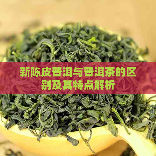 新陈皮普洱与普洱茶的区别及其特点解析