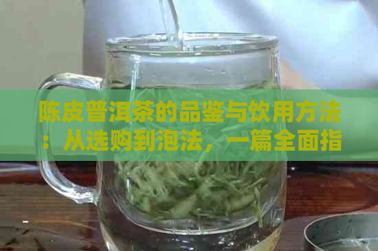 陈皮普洱茶的品鉴与饮用方法：从选购到泡法，一篇全面指南