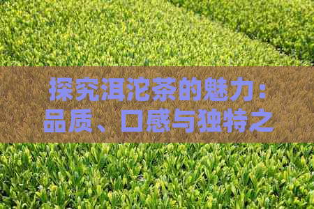 探究洱沱茶的魅力：品质、口感与独特之处