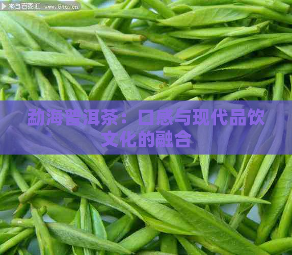 勐海普洱茶：口感与现代品饮文化的融合